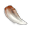 Sárkányfog