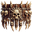 Csontõv